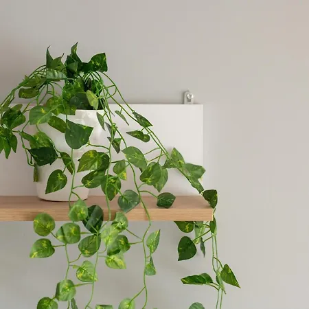 Appartement Comfortable Wojskowa By Renters *