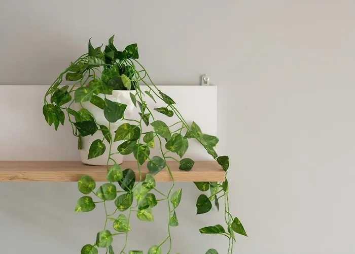 Appartement Comfortable Wojskowa By Renters *